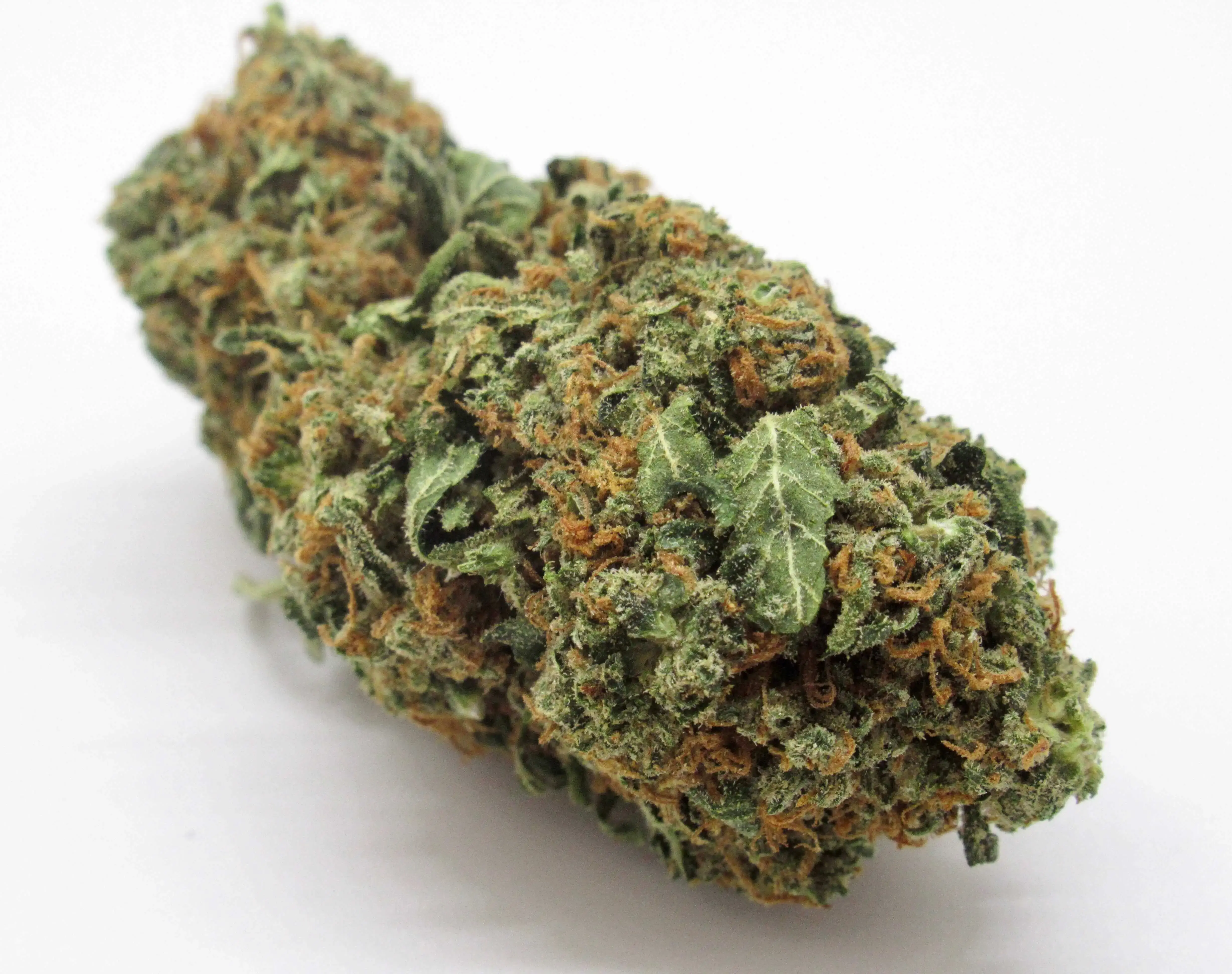 Buy Blue Cheese Strain Online | Mississauga Bud