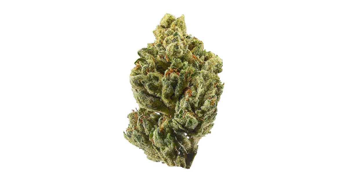 Brand X Product Image